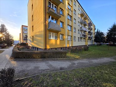 mieszkanie na wynajem 55m2 mieszkanie Leszno, Prochownia