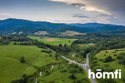 działka na sprzedaż 219500m2 działka Smolnik