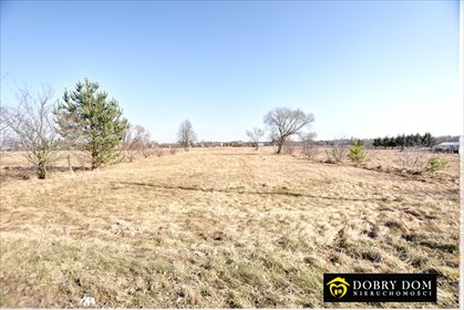 Sprzedam dużą działkę 5869 m² z mediami w Siemianówce działka Siemianówka