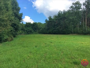 działka na sprzedaż 4100m2 działka Łódź, Widzew, Byszewska