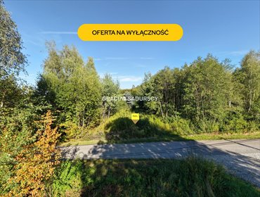 Polecam działkę 25,97 ara w spokojnej okolicy działka Nowy Wiśnicz