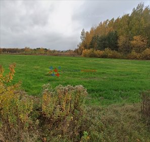 Działka 1188 m² w Dobiesz - media, plan zagospodarowania działka Dobiesz