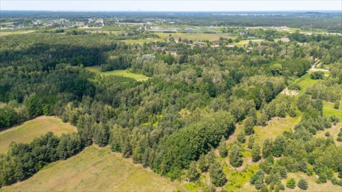 działka na sprzedaż 10500m2 działka Sierzchów, Mazowiecka