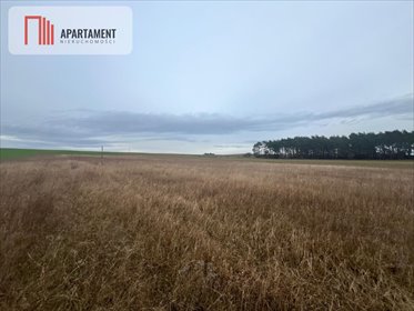 Polecam działkę 1075 m² przy lesie z warunkami zabudowy działka Kołaczkowo