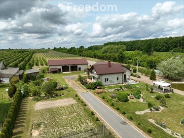 dom na sprzedaż 282m2 dom Wilków Drugi