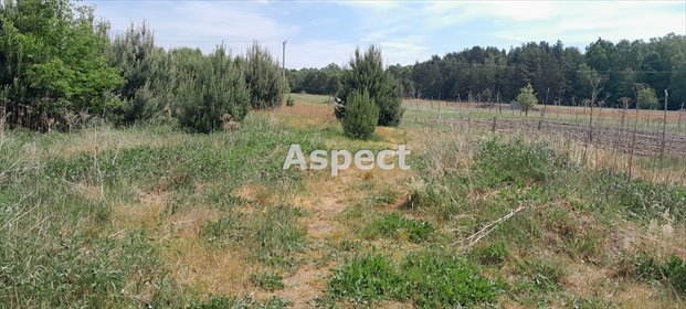 działka na sprzedaż 2482m2 działka Brzóza Królewska