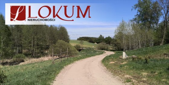 Działka budowlana na sprzedaż Biały Bukowiec 59 600m2 Foto 4
