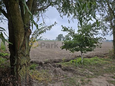 działka na sprzedaż 825m2 działka Kokorzyn