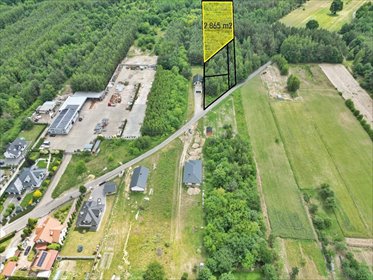 Działka leśna 2 865 m² w Trablicach (media w drodze) działka Kowala, Trablice