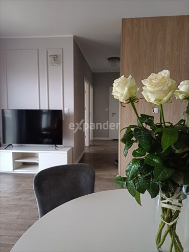 mieszkanie na sprzedaż 55m2 mieszkanie Poznań, Wilda, Mieczysława Niedziałkowskiego