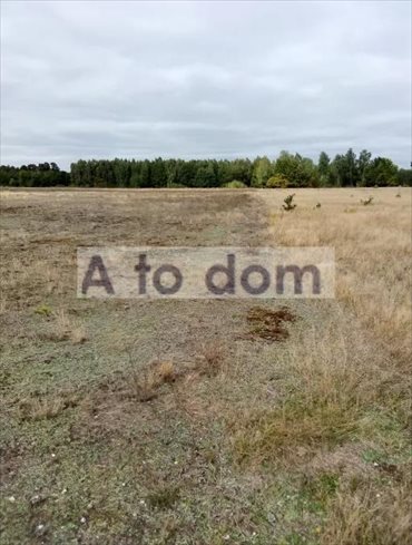 działka na sprzedaż 54900m2 działka Stasiopole