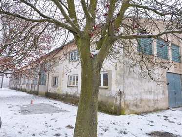 Magazyn na sprzedaż Daszyna 1 000m2 Foto 6