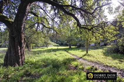 Sprzedam działkę 12 500 m² z domem i infrastrukturą działka Dąbrowa Białostocka