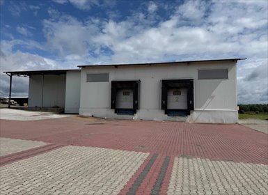 Hala magazynowa 1500 m² - dostępna od zaraz w Grójcu lokal użytkowy grójecki