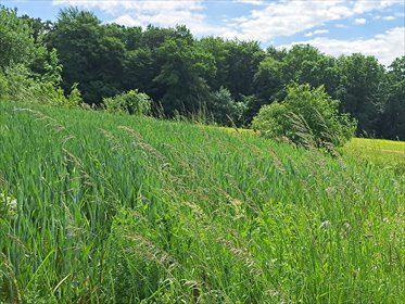 działka na sprzedaż 6089m2 działka Podniebyle