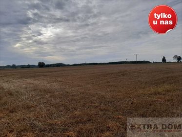 działka na sprzedaż 108000m2 działka Trzebawie