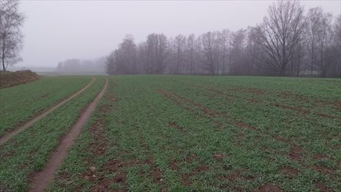 Działka gospodarstwo rolne na sprzedaż Byki 7 000 000m2 Foto 6