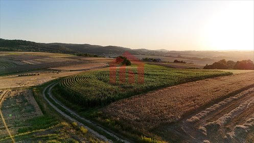 działka na sprzedaż 2600m2 działka Brzeziny