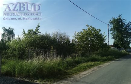 działka na sprzedaż 6100m2 działka Gniezno, Trzemeszeńska