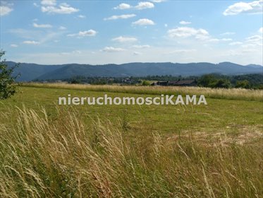 Na sprzedaż działka 5741 m² z widokiem na Beskidy działka Bielsko-Biała, Stare Bielsko