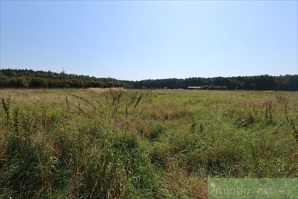 działka na sprzedaż 3194m2 działka Modrzewie