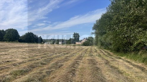 Duża działka budowlana 2507 m² w Tatyni z dostępem do drogi działka Tatynia