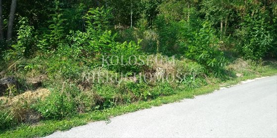Działka budowlana na sprzedaż Mirosławice 2 000m2 Foto 5