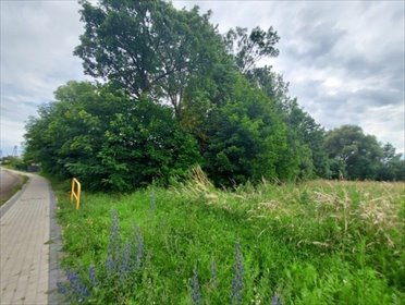 działka na sprzedaż 3000m2 działka Kozielice