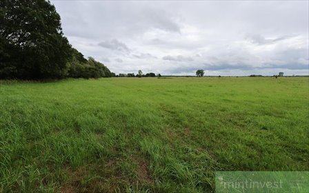 Na sprzedaż działka rolna 33 134 m² w Żarnowie działka Żarnowo