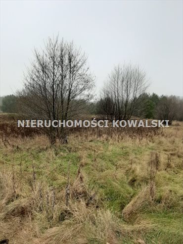 Działka rekreacyjna na sprzedaż Zarośle Cienkie 3 281m2 Foto 1