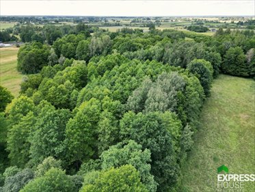 działka na sprzedaż 17281m2 działka Świerszczów