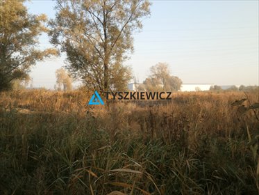 działka na sprzedaż 6921m2 działka Gdańsk, Rudniki, Rzęsna