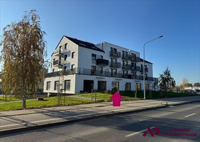 lokal użytkowy na wynajem 36m2 lokal użytkowy Zalasewo