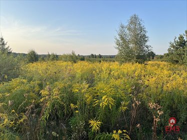 działka na sprzedaż 4400m2 działka Morze