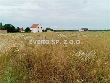 działka na sprzedaż 2100m2 działka Tąpadła, TĄPADŁA - DZIAŁKI BUDOWLANE - prąd i woda