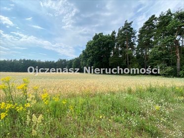 Działka budowlana z mediami i lasem, spokojna okolica działka Nekla