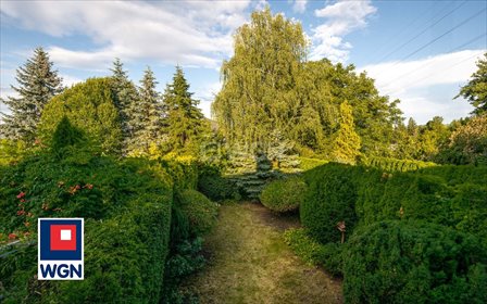 lokal użytkowy na sprzedaż 100m2 lokal użytkowy Błonie, Cedynia, Warszawska