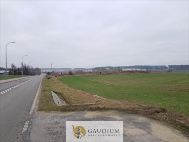 Polecam działkę przemysłową 25 631 m² w Wędkowym działka Wędkowy