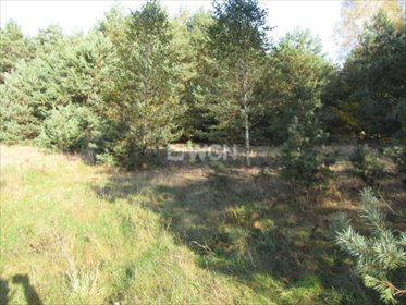 Działka budowlana na sprzedaż Siedlątków, Osiedle Działek 860m2 Foto 5