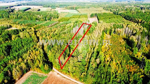 działka na sprzedaż 10100m2 działka Knorydy