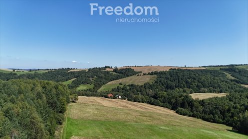 działka na sprzedaż 17000m2 działka Leszczawka