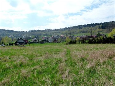 Działka inwestycyjna na sprzedaż Kozubnik 5 800m2 Foto 4