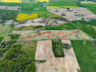 działka na sprzedaż 102500m2 działka Chojnik