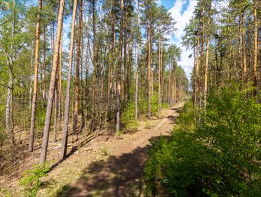 Działka 1508 m² w Wawerze z dostępem do dróg i mikroklimatem działka Warszawa, Wawer, Ezopa