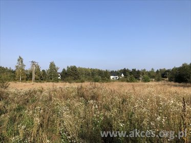 Działka budowlana 4100 m² przy drodze asfaltowej, lasy. działka Władków
