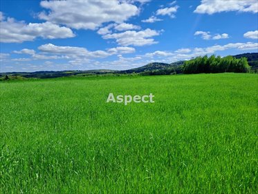 działka na sprzedaż 3000m2 działka Brzeziny