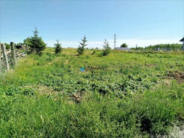 Działka budowlana w Kolinczu pod dom jednorodzinny, 1492 m² działka Kolincz, Główna