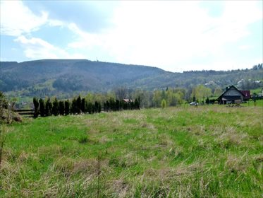 Działka inwestycyjna na sprzedaż Kozubnik 5 800m2 Foto 3