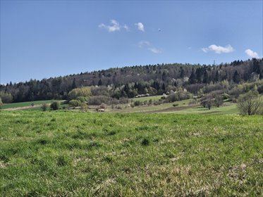 działka na sprzedaż 1898m2 działka Długie