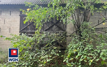 Dom na sprzedaż Soborzyce, Długa 90m2 Foto 4